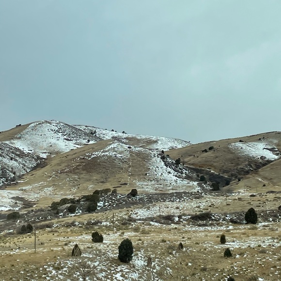 Meet your Posher, Adam - Picture 1 of 1